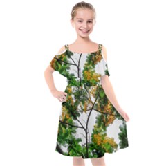 Tree Sunlight Forest Nature Landscape Sunrise Fog Kids  Cut Out Shoulders Chiffon Dress by danenraven