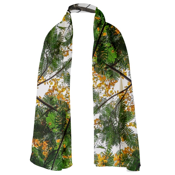 Tree Sunlight Forest Nature Landscape Sunrise Fog Lightweight Scarf 