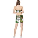 Tree Sunlight Forest Nature Landscape Sunrise Fog Stretch Shorts and Tube Top Set View2