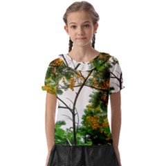 Tree Sunlight Forest Nature Landscape Sunrise Fog Kids  Frill Chiffon Blouse by danenraven