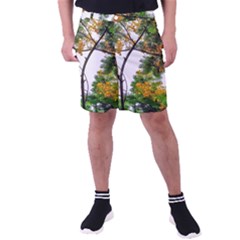 Tree Sunlight Forest Nature Landscape Sunrise Fog Men s Pocket Shorts by danenraven