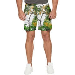 Tree Sunlight Forest Nature Landscape Sunrise Fog Men s Runner Shorts by danenraven