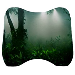 Swamp Forest Trees Background Nature Eerie Velour Head Support Cushion by danenraven