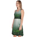 Swamp Forest Trees Background Nature Eerie Knee Length Skater Dress With Pockets View2