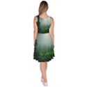 Swamp Forest Trees Background Nature Eerie Knee Length Skater Dress With Pockets View4