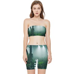 Swamp Forest Trees Background Nature Eerie Stretch Shorts And Tube Top Set by danenraven