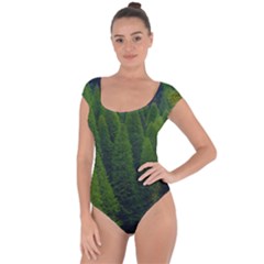 Forest Scenery Nature Trees Woods Short Sleeve Leotard  by danenraven