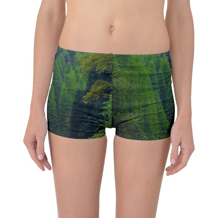 Forest Scenery Nature Trees Woods Reversible Boyleg Bikini Bottoms