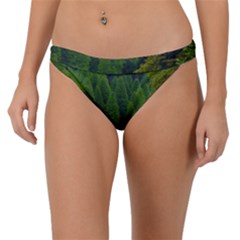 Forest Scenery Nature Trees Woods Band Bikini Bottom by danenraven