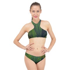 Forest Scenery Nature Trees Woods High Neck Bikini Set by danenraven