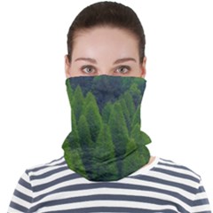 Forest Scenery Nature Trees Woods Face Seamless Bandana (adult) by danenraven