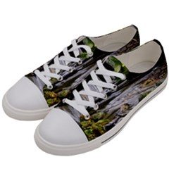 Bach Water Landscape Nature Forest Summer Sun Men s Low Top Canvas Sneakers by danenraven