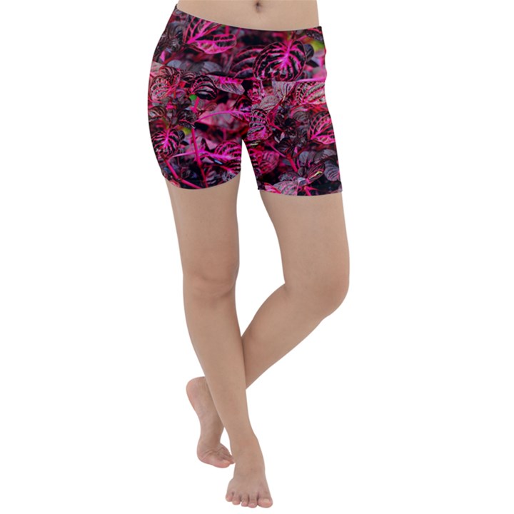 Red Leaves Plant Nature Leaves Flora Foliage Lightweight Velour Yoga Shorts