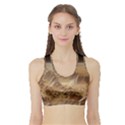 Mars Crater Planet Canyon Cliff Nasa Astronomy Sports Bra with Border View1