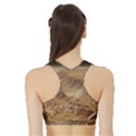 Mars Crater Planet Canyon Cliff Nasa Astronomy Sports Bra with Border View2