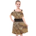 Mars Crater Planet Canyon Cliff Nasa Astronomy Kids  Cut Out Shoulders Chiffon Dress View1