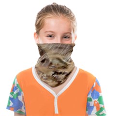 Mars Crater Planet Canyon Cliff Nasa Astronomy Face Covering Bandana (kids) by danenraven