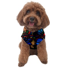 Window Stained Glass Chartres Cathedral Dog Sweater by danenraven