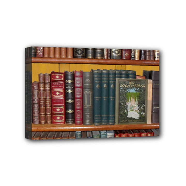 Books Library Bookshelf Bookshop Vintage Antique Mini Canvas 6  x 4  (Stretched)