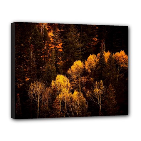 Autumn Fall Foliage Forest Trees Woods Nature Canvas 14  X 11  (stretched) by danenraven