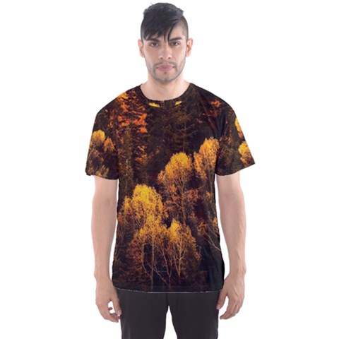 Autumn Fall Foliage Forest Trees Woods Nature Men s Sport Mesh Tee by danenraven