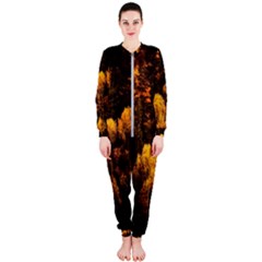 Autumn Fall Foliage Forest Trees Woods Nature Onepiece Jumpsuit (ladies) by danenraven