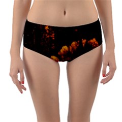 Autumn Fall Foliage Forest Trees Woods Nature Reversible Mid-waist Bikini Bottoms by danenraven