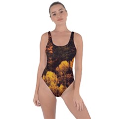 Autumn Fall Foliage Forest Trees Woods Nature Bring Sexy Back Swimsuit by danenraven