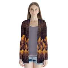 Autumn Fall Foliage Forest Trees Woods Nature Drape Collar Cardigan by danenraven