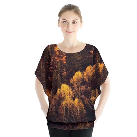 Autumn Fall Foliage Forest Trees Woods Nature Batwing Chiffon Blouse by danenraven