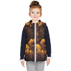 Autumn Fall Foliage Forest Trees Woods Nature Kids  Hooded Puffer Vest by danenraven