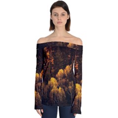 Autumn Fall Foliage Forest Trees Woods Nature Off Shoulder Long Sleeve Top by danenraven