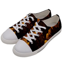 Autumn Fall Foliage Forest Trees Woods Nature Women s Low Top Canvas Sneakers by danenraven