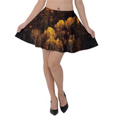 Autumn Fall Foliage Forest Trees Woods Nature Velvet Skater Skirt by danenraven