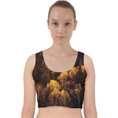 Autumn Fall Foliage Forest Trees Woods Nature Velvet Racer Back Crop Top by danenraven