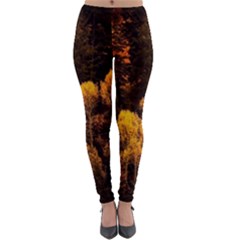 Autumn Fall Foliage Forest Trees Woods Nature Lightweight Velour Leggings by danenraven