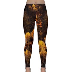 Autumn Fall Foliage Forest Trees Woods Nature Lightweight Velour Classic Yoga Leggings by danenraven