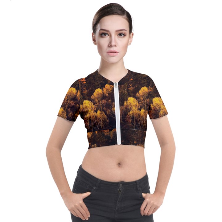 Autumn Fall Foliage Forest Trees Woods Nature Short Sleeve Cropped Jacket