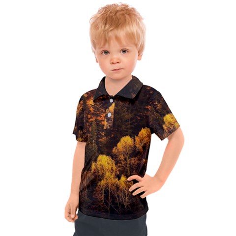 Autumn Fall Foliage Forest Trees Woods Nature Kids  Polo Tee by danenraven