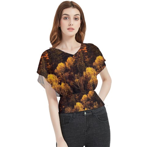 Autumn Fall Foliage Forest Trees Woods Nature Butterfly Chiffon Blouse by danenraven