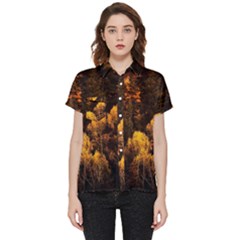 Autumn Fall Foliage Forest Trees Woods Nature Short Sleeve Pocket Shirt by danenraven