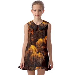 Autumn Fall Foliage Forest Trees Woods Nature Kids  Pilgrim Collar Ruffle Hem Dress