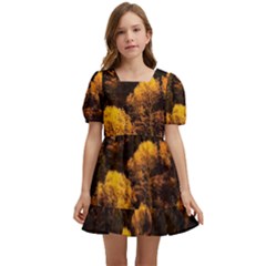 Autumn Fall Foliage Forest Trees Woods Nature Kids  Short Sleeve Dolly Dress by danenraven