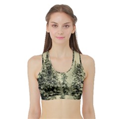 Winter Snow Frost Landscape Forest Trees Woods Sports Bra With Border by danenraven