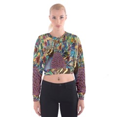 Peacock Mixed Media Bird Animal Cropped Sweatshirt by danenraven