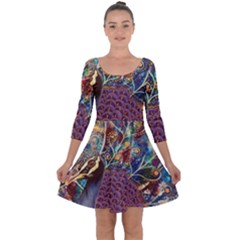 Peacock Mixed Media Bird Animal Quarter Sleeve Skater Dress by danenraven