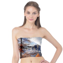 Dolomites Mountains Alps Alpine Trees Conifers Tube Top by danenraven