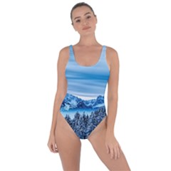 Winter Forest Mountain Snow Nature Alpine Trees Bring Sexy Back Swimsuit by danenraven