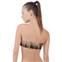 Moon Nature Forest Pine Trees Sky Full Moon Night Classic Bandeau Bikini Top  View2