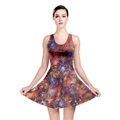 Fantasy Surreal Animals Psychedelic Pattern Reversible Skater Dress